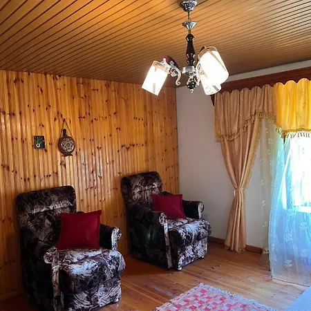 Goni Guest House Tepelene Exterior photo